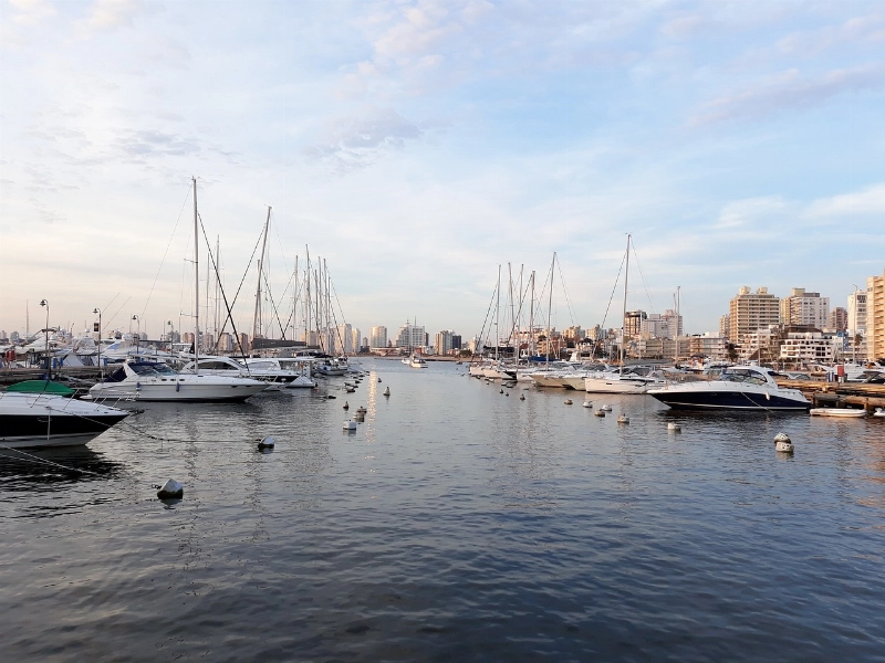Inversiones Españolas en el Extranjero: ¿Por Qué el Sector inmobiliario Uruguayo Atrae a Inversores Ibéricos?