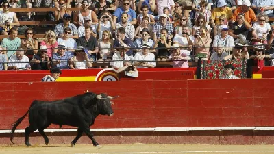 La feria de julio: una tradición taurina y festiva