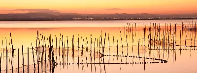 La Albufera de Valencia: un parque natural fascinante