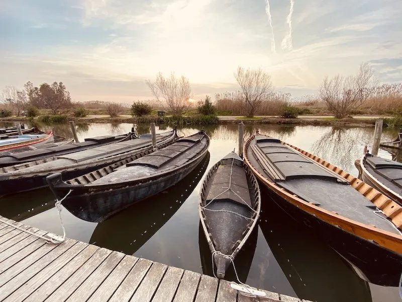 Los imprescindibles de una visita a Albufera
