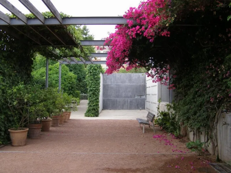 Explora el Jardín de las Hespérides en Valencia