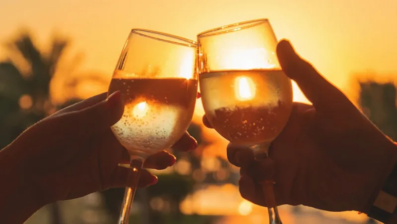 De vinos por Valencia: rutas enológicas para descubrir la ciudad