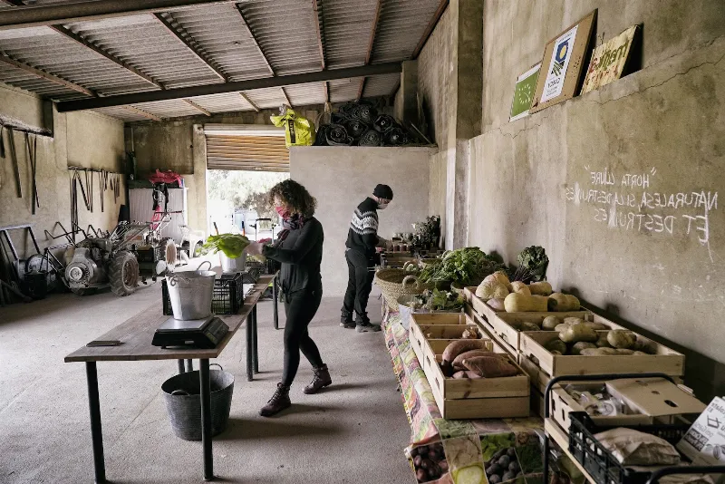 Del huerto a la mesa: la huerta valenciana en su máximo esplendor