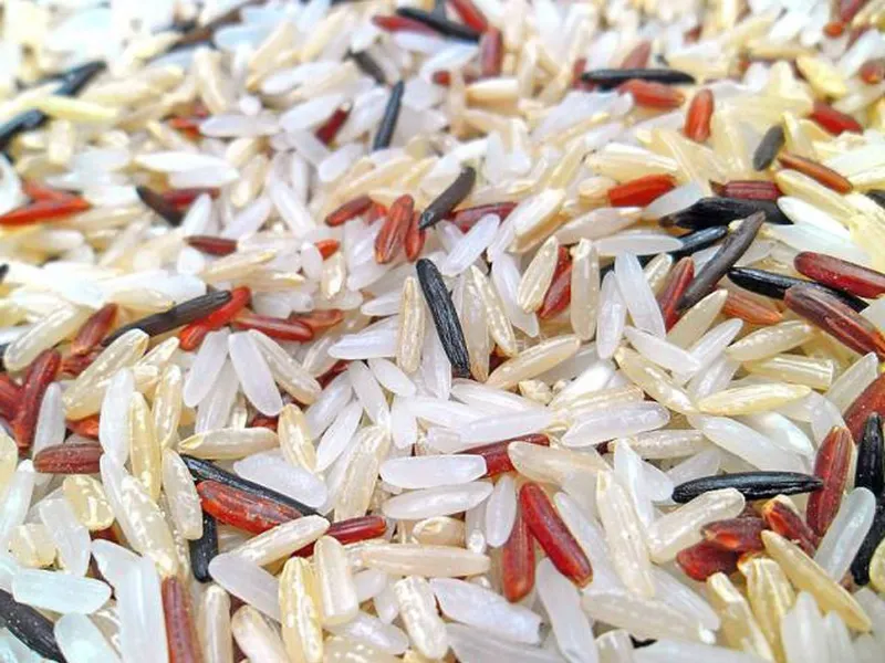 El arte del arroz: conoce las variedades de este plato tan típico