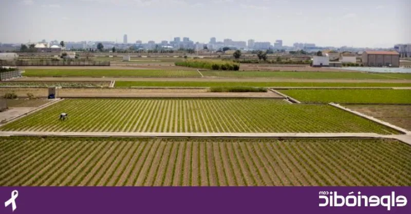 La Huerta de Valencia: un espacio natural y cultural que no puedes perderte